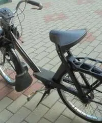 VELOCIFERO Velocifero 50 VELOSOLEX 3800 VELOCIFERO Velocifero 50 VELOSOLEX 3800