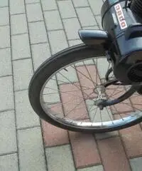 VELOCIFERO Velocifero 50 VELOSOLEX 3800 VELOCIFERO Velocifero 50 VELOSOLEX 3800