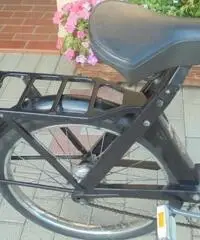 VELOCIFERO Velocifero 50 VELOSOLEX 3800 VELOCIFERO Velocifero 50 VELOSOLEX 3800