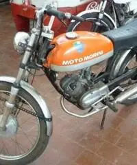 MOTO MORINI Scrambler VARI MODELLI E COLORI MOTO MORINI Scrambler VARI MODELLI E COLORI
