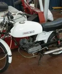 MOTO MORINI Scrambler VARI MODELLI E COLORI MOTO MORINI Scrambler VARI MODELLI E COLORI