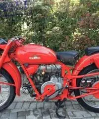 MOTO GUZZI Airone 250 1951 MOTO GUZZI Airone 250 1951