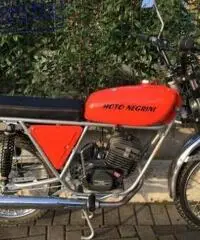 NEGRINI S4 50 1981 NEGRINI S4 50 1981