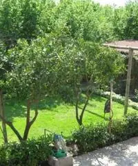 Scisciano: Appartamento 5 Locali o piu