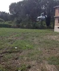 Stabile/Palazzo di 8 locali in Vendita Stabile/Palazzo di 8 locali in Vendita