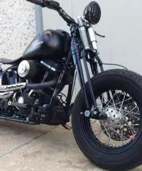 HARLEY DAVIDSON SOFTAIL CROSS BONES