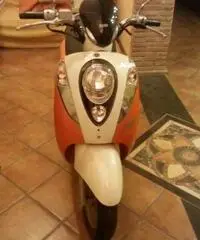 Sym mio 50 Sym mio 50