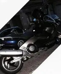 T max T max