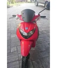 PIAGGIO Liberty 50cc cc 50