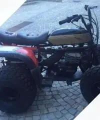 Quad 250cc (prototipo) Quad 250cc (prototipo)