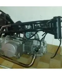 Vendo MiniGP Dream Vendo MiniGP Dream