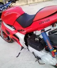 gilera dna