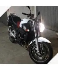 GSR 600 BIANCA, tagliandi certificati, GSR 600 BIANCA, tagliandi certificati,