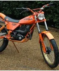 OSSA 250 Trial - 1981 OSSA 250 Trial - 1981