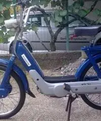 CERCO PIAGGIO CIAO O BRAVO CERCO PIAGGIO CIAO O BRAVO