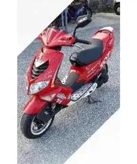 Peugeot Speedfight2 50 - 2005 Peugeot Speedfight2 50 - 2005