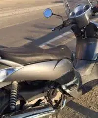 Aprilia Scarabeo 500 Aprilia Scarabeo 500