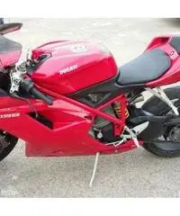 Ducati 1098 Ducati 1098
