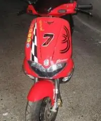 GILERA Runner tipo veicolo Scooter cc 50 GILERA Runner tipo veicolo Scooter cc 50