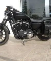 HARLEY DAVIDSON 883 tipo veicolo Custom cc 883 HARLEY DAVIDSON 883 tipo veicolo Custom cc 883