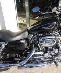 HARLEY DAVIDSON Sportster 1200 tipo veicolo Custom cc 1200 HARLEY DAVIDSON Sportster 1200 tipo veicolo Custom cc 1200