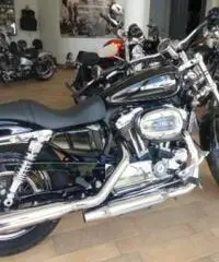 HARLEY DAVIDSON Sportster 1200 tipo veicolo Custom cc 1200 HARLEY DAVIDSON Sportster 1200 tipo veicolo Custom cc 1200