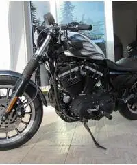 HARLEY-DAVIDSON Sportster 883 Custom cc 883 HARLEY-DAVIDSON Sportster 883 Custom cc 883
