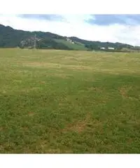 Casale rustico Casale rustico