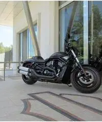 HARLEY-DAVIDSON VRSCDX Custom cc 1246 HARLEY-DAVIDSON VRSCDX Custom cc 1246