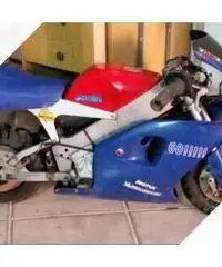 Minimoto polini Minimoto polini