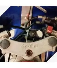 Minimoto polini Minimoto polini