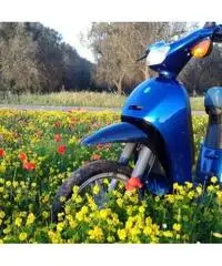 Piaggio Free 50 Piaggio Free 50