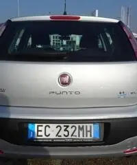 FIAT Punto Evo 1.4 5 porte Dynamic Natural Power FIAT Punto Evo 1.4 5 porte Dynamic Natural Power