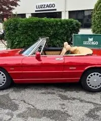 Alfa Romeo - Spider 1600 (115A2)