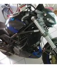 Raptor 650 Raptor 650
