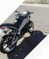 Xb 900buell Xb 900buell