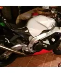 APRILIA RSV 1000 RSV 1000