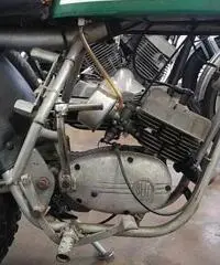 Betamotor BETA RR 50 MOTARD SKULL - Km. 10000, Euro 990