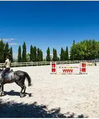 Centro ippico scuderia cavalli Centro ippico scuderia cavalli