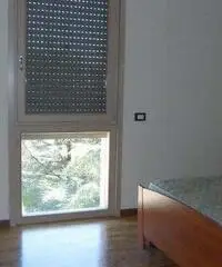 Affitto Appartamento a Piacenza Affitto Appartamento a Piacenza