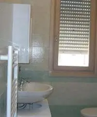 Affitto Appartamento a Piacenza Affitto Appartamento a Piacenza