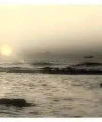 Appartamento in Affitto a 420