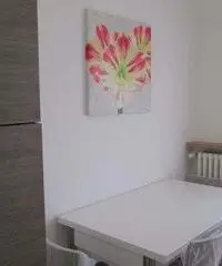 Parma Affitto Appartamento Parma Affitto Appartamento