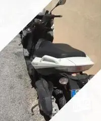 Nexus 300 - 2010 Nexus 300 - 2010