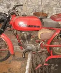 Corsaro 125 anni 60