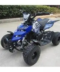 Cross mini Quad 2016 Ita