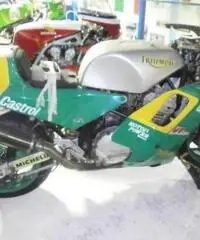 TRIUMPH Daytona 900 FACTORY