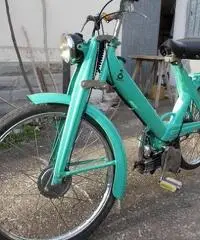 moschito garelli paperino