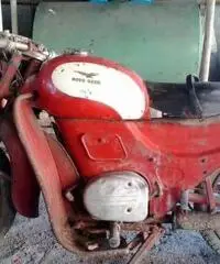 Moto Guzzi mod.Zigolo Moto Guzzi mod.Zigolo