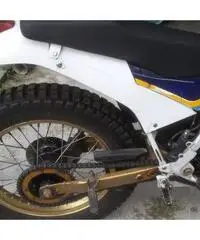 Fantic trial 303 con documenti Fantic trial 303 con documenti